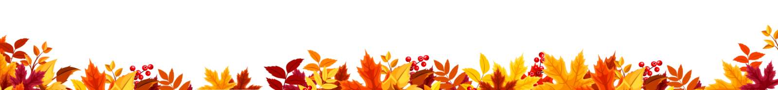 Warenkorb